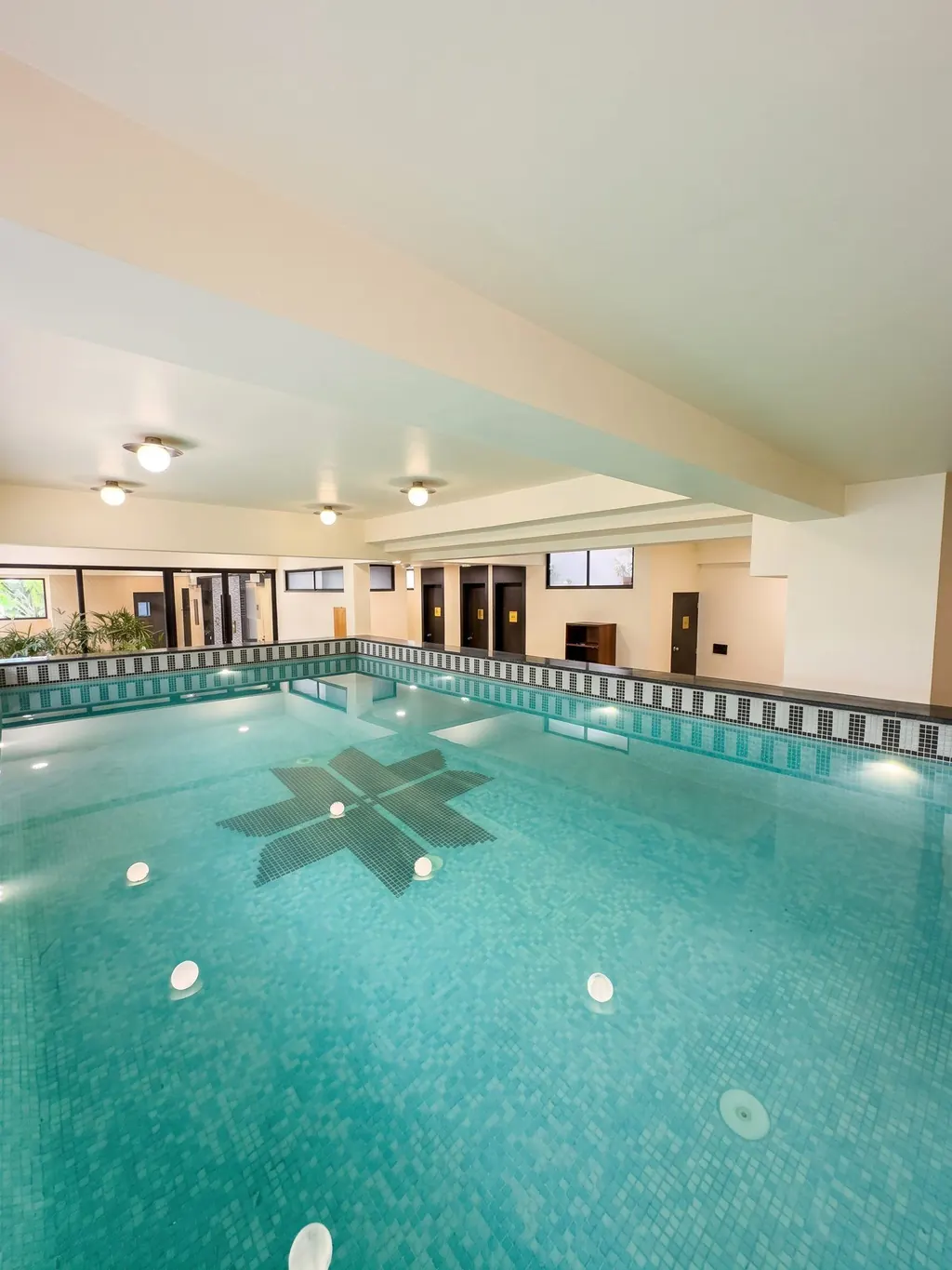 The hotel swimming pool seen from above, framed by palms
